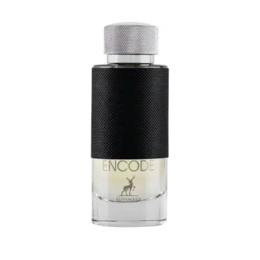 Parfum bărbătesc Maison Alhambra Encode EDP 100 ml.